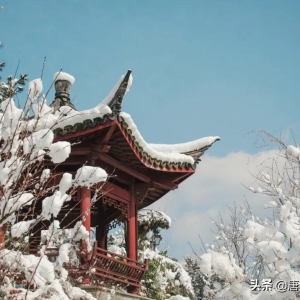 冬天的思念，风雪越大，思念越深