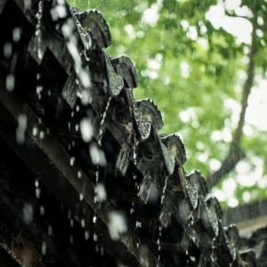 30句春雨诗词，一朝春雨落，百花迎风开，最适合分享到朋友圈