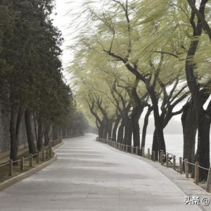 风大文案， 被吹跑搞笑句子图片，幽默朋友圈说说16条