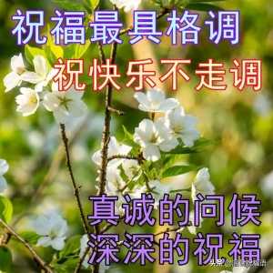 珍惜友情早上好图片 对好朋友的早安祝福图片大全