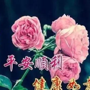 友不言挚爱，友情谊深心心相连，祝朋友：身体健康事业旺，早安