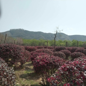 情感故事:那年外地出差，我和36岁女同事的一段意外情缘