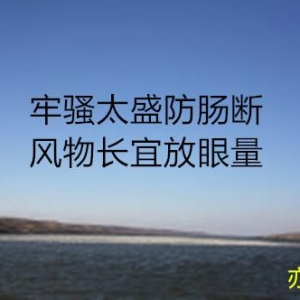 毛主席经典语录摘抄