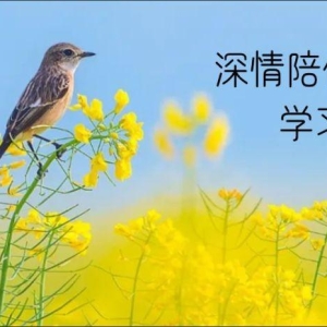 干净治愈温柔短句丨简单干净的原创温柔文案，发朋友圈不落俗