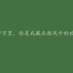 520情人节情话最暖心短句 521我爱你文案朋友圈说说