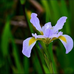 五一劳动节温馨短信祝福语，句句真情，愿大家节日快乐