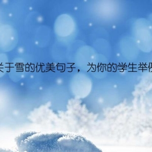 关于雪的优美句子，为你的学生举例