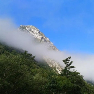 山清水秀风景优美句子，朋友圈带你领略山清水秀的绝美风光