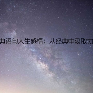 经典语句人生感悟：从经典中汲取力量