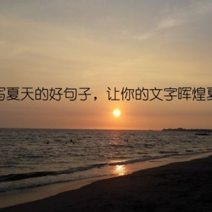 描写夏天的好句子，让你的文字晖煌夏日