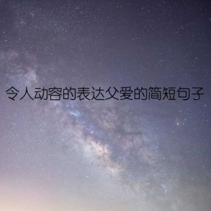 令人动容的表达父爱的简短句子