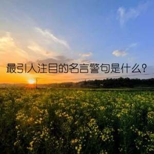 最引人注目的名言警句是什么？