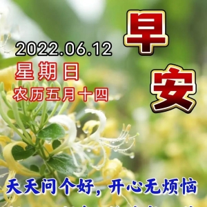 6月12日早安祝福语，心静无尘，惦记无声。送上我真诚的问候