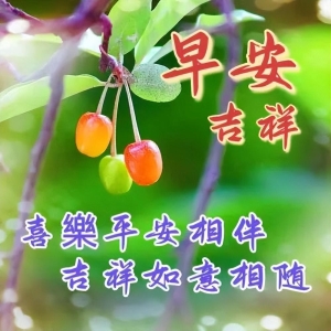 每天好心情早安祝福语大全