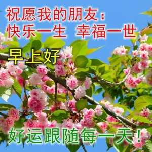 今日最新早上好问候语，美好祝福，天天平安，万事如意，幸福安康