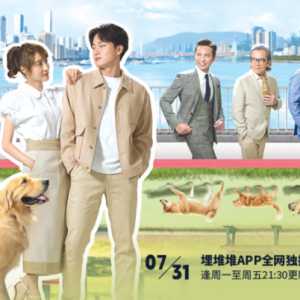 糖里夹刀？TVB甜宠喜剧《宠爱Pet Pet》林夏薇的“极品前任”来袭