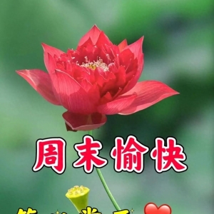 9月2日群发亲友温馨问候祝福语大全。愿大家健康快乐，周末愉快！