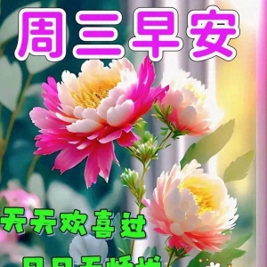 9月6日群发亲友温馨问候祝福语大全，愿大家健康快乐，星期三愉快