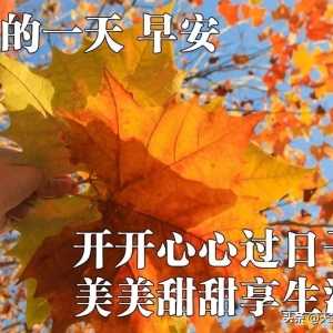 最美早上好祝福问候短信语录 朋友圈新版早晨好暖心祝福图片带字