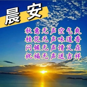 情谊浓浓，不分咫尺天涯，祝福深深，不分相见怀念，早安！