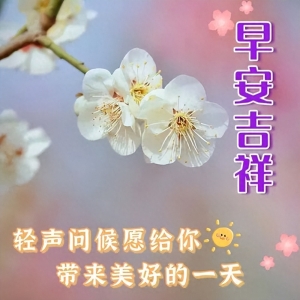 今天暖心早上好问候语祝福短句，吉祥如意，天天欢乐