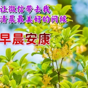 最美早安问候祝福语图片带字温馨，早安问候祝福语短信