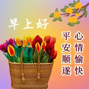 今天暖心早上好问候短句子大全，愿幸福一直在你身边，早安