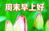 今日最新问候语精选，早上好祝福图片大全，真诚送上祝福