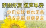 微信漂亮早安祝福问候语大全，祝福问候愿你幸福快乐