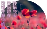 2024年1月28日早上好祝福，问候朋友的句子，相遇最美，感谢有您