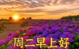 今日最新春天早安祝福图片，周二清晨早安快乐问候短信大全