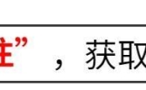 张颂文宋佳抚胸的片段惹争议，尺度大儿童不宜，借艺术之名搞擦边