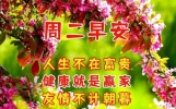 7月19日周二早安问候语，祝福好友幸福快乐美满