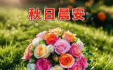 今日精选早上好暖心唯美图片问候！最新早安吉祥祝福短语句子！