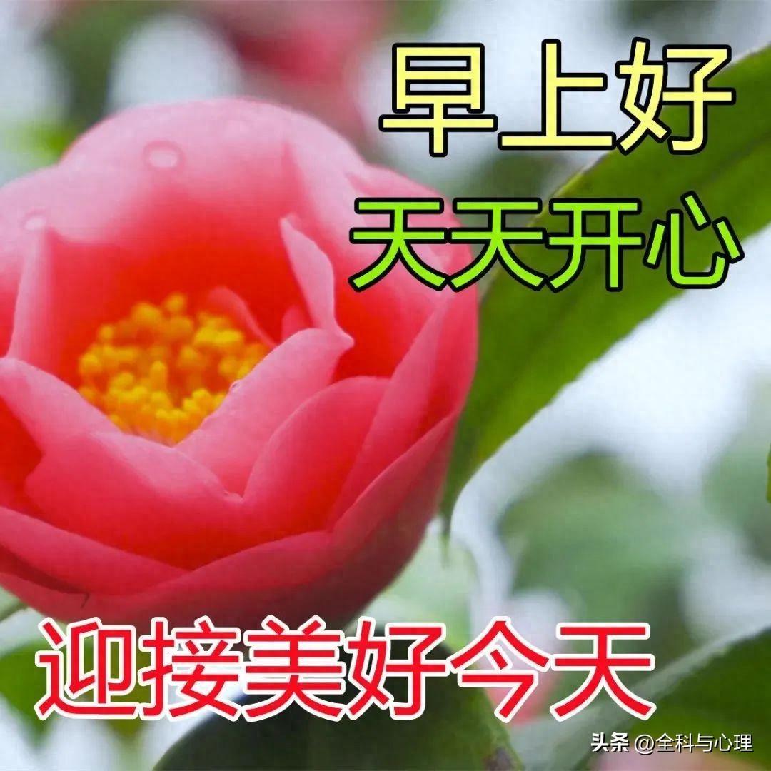 清晨微信群发早上好祝福集锦，温馨的早安祝福短信表情包大全