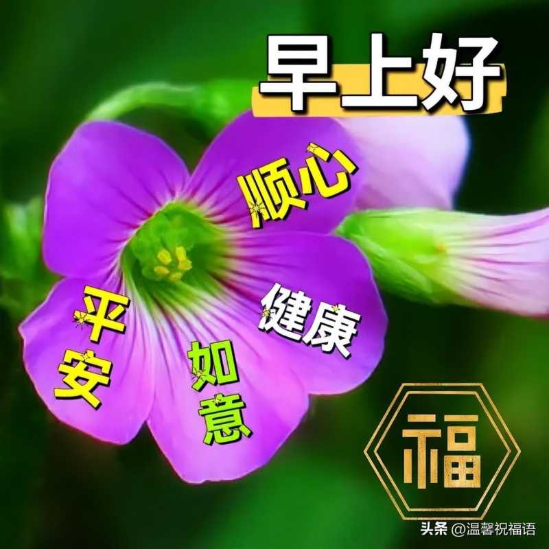 今日新版非常好看的早安图片大全，祝福问候，开心幸福！