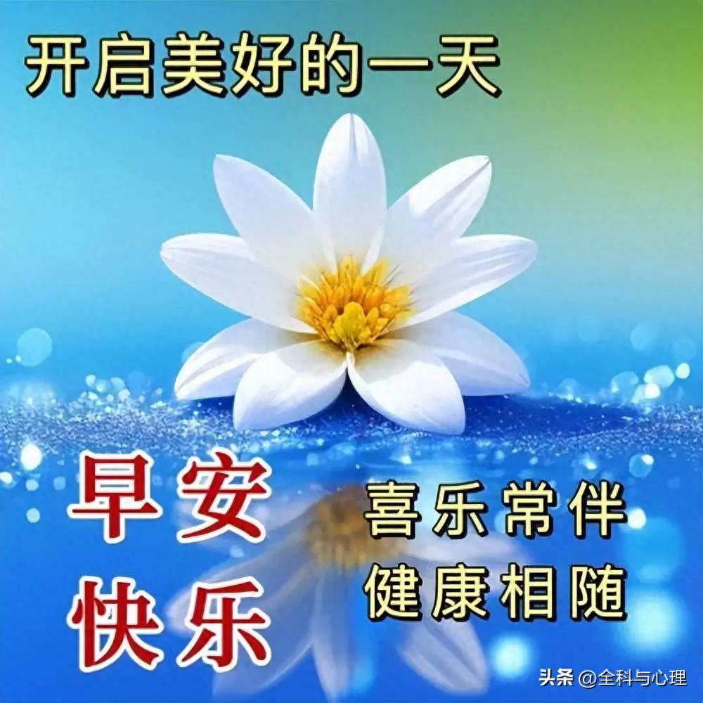 今日最新早安祝福语短句精选，问声早上好，事事都如意！