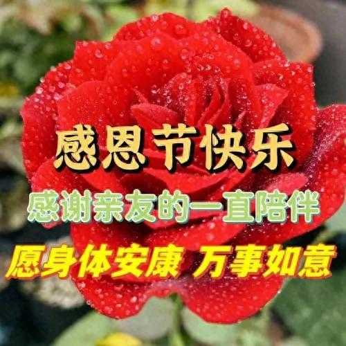 最新感恩节文案，感恩节早安祝福短句，祝你感恩节快乐